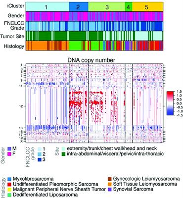 Targeting the MDM2-p53 pathway in dedifferentiated liposarcoma